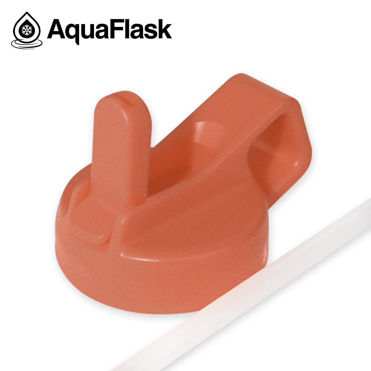 AQUAFLASK STRAW LID CUBE HANDLE - PLUMPY PEACH