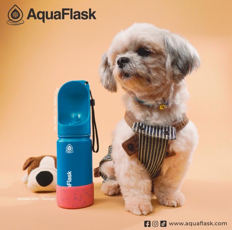 AQUAFLASK PET CUP - COBALT BLUE